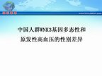 [WHC2009]中国人群WNK3基因多态性和原发性高血压的性别差异